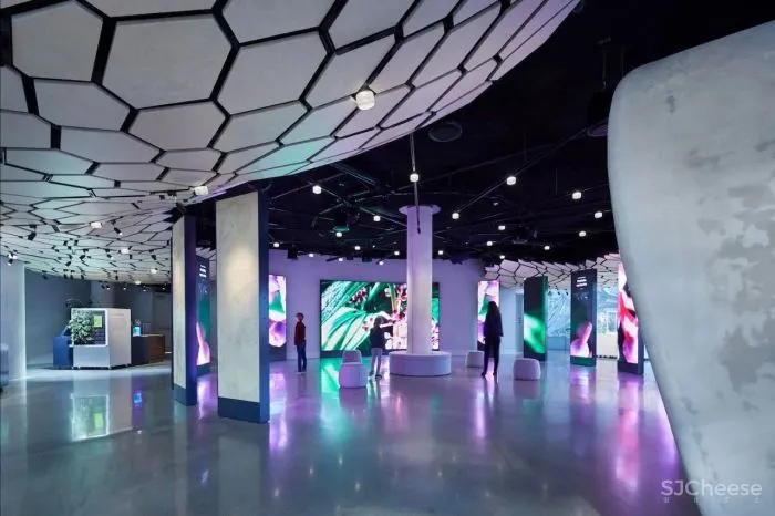 自然与建筑：球体的故事