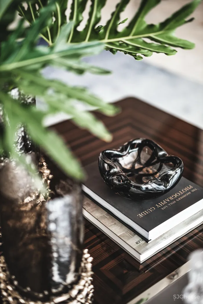 650㎡ 独栋别墅,以水为线 · 与水共生!