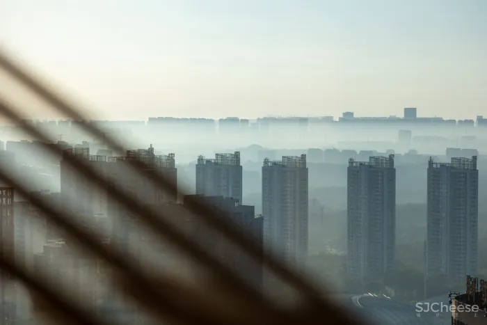 飞行的姿态,1895时光城市展厅 共生形态