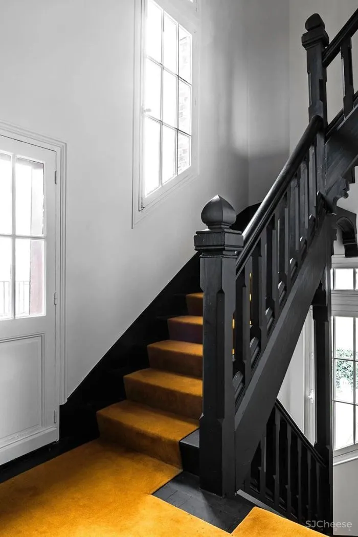 法国设计,色彩家居!