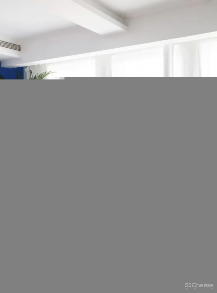 色彩菲斯 双宝设计机构