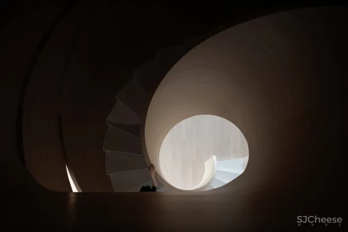 飞行的姿态,1895时光城市展厅 共生形态