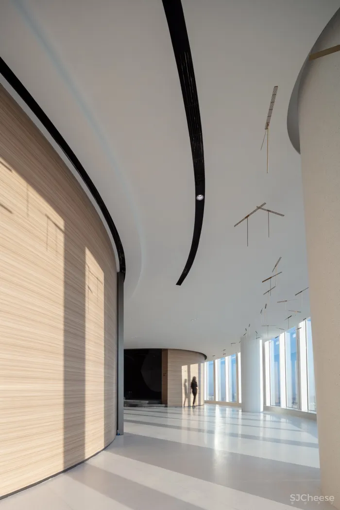 飞行的姿态,1895时光城市展厅 共生形态