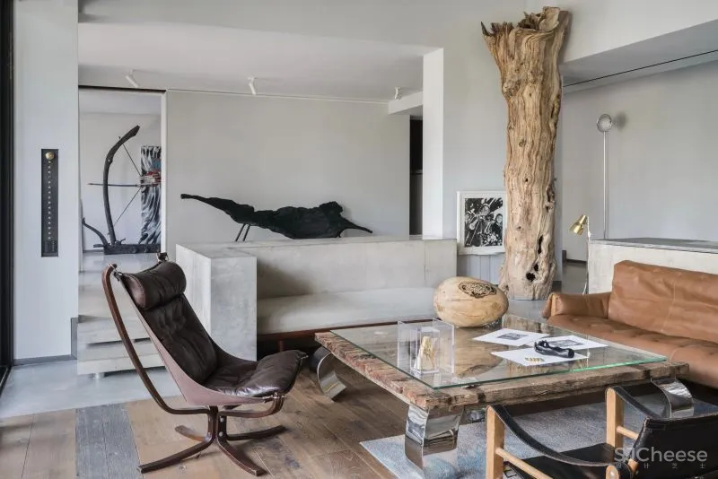 陈耀光：诗意栖居，在光合院里触摸惊喜和生命的鲜活