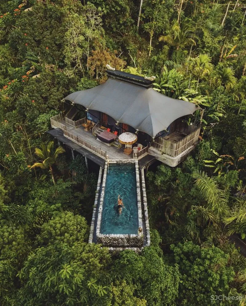 嘉佩乐Capella酒店:“ 城市度假”的理想模样