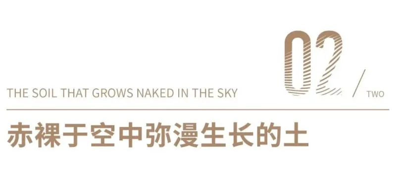 堂晤设计 一块土的重生之旅,窑知未来 · 被动房体验馆