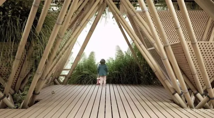 大平层+垂直森林,一层三户的独立式户型太赞了