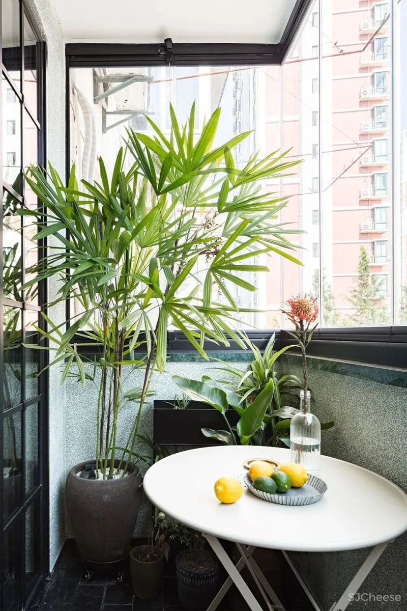 新作 “老破小”中的家庭剧院，上海 寻长设计