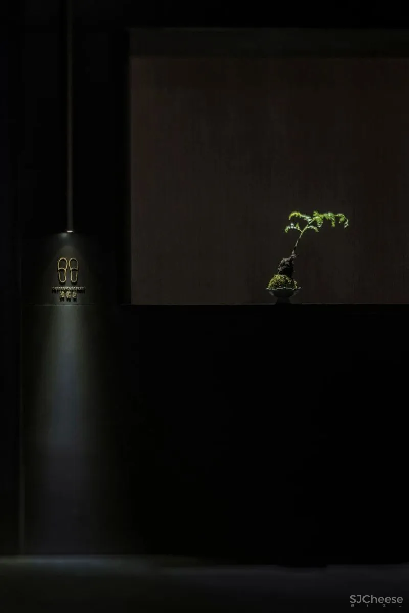 内建筑沈雷最新设计:LS Spa!