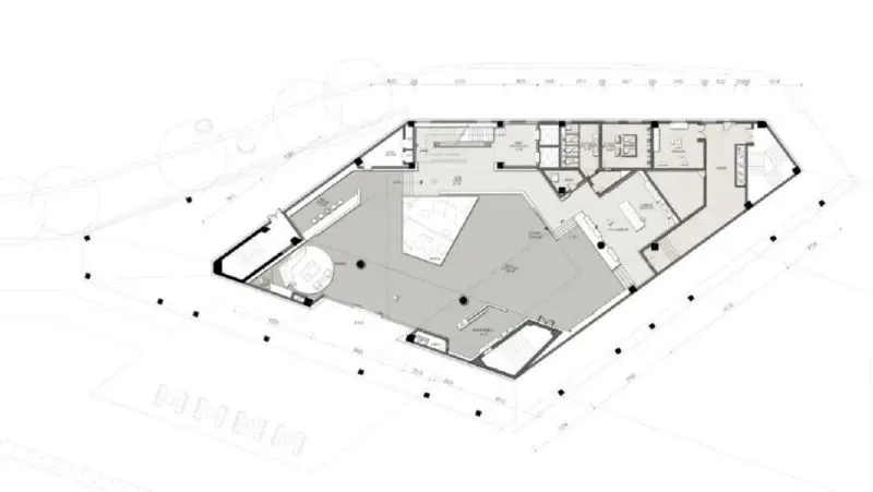 翘首眺江汉,低头见彩虹 DIA丹健国际