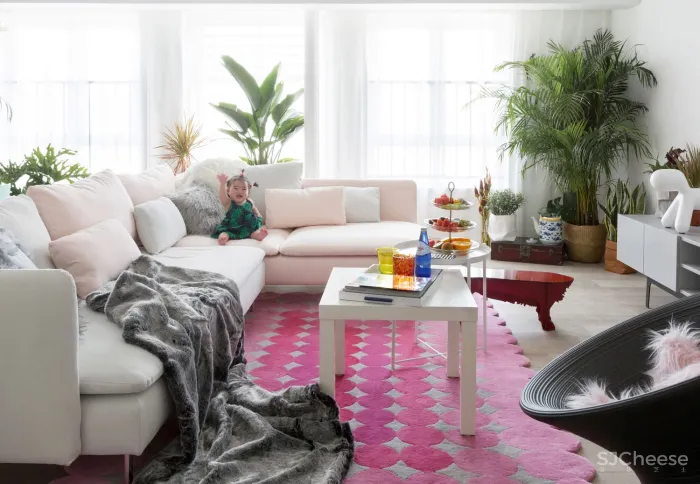 色彩菲斯 双宝设计机构