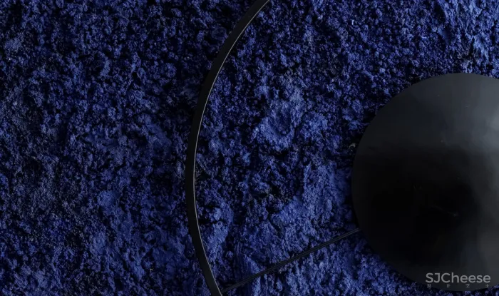 飞行的姿态,1895时光城市展厅 共生形态