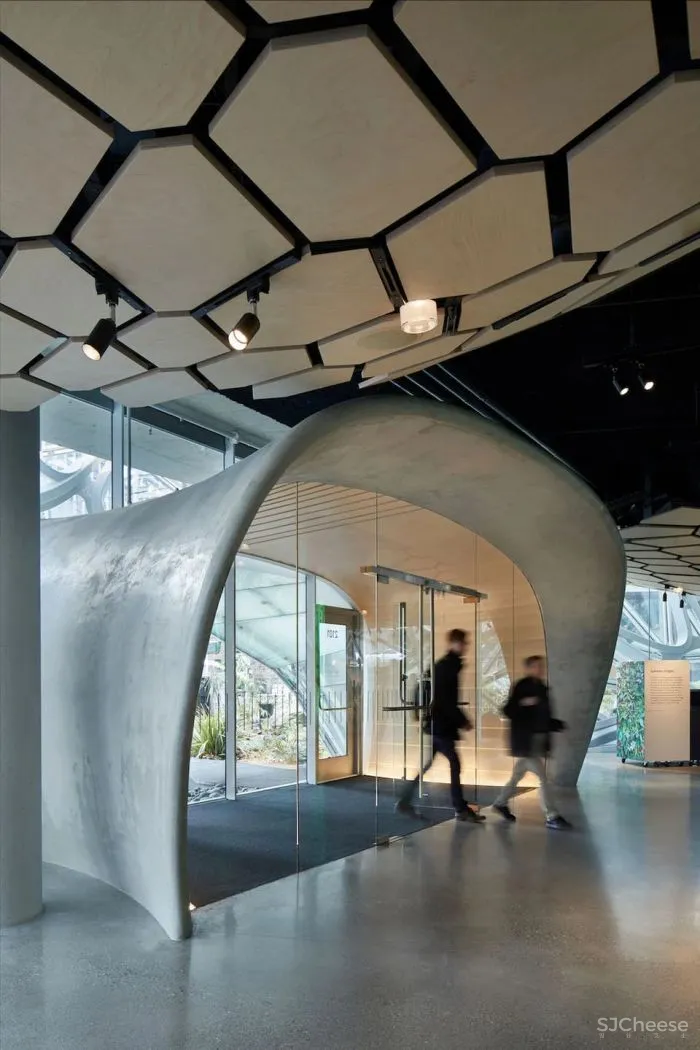 自然与建筑：球体的故事