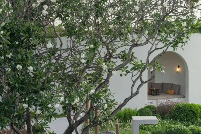 泰国又出极致度假酒店:面朝大海,融于自然!