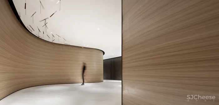 飞行的姿态,1895时光城市展厅 共生形态