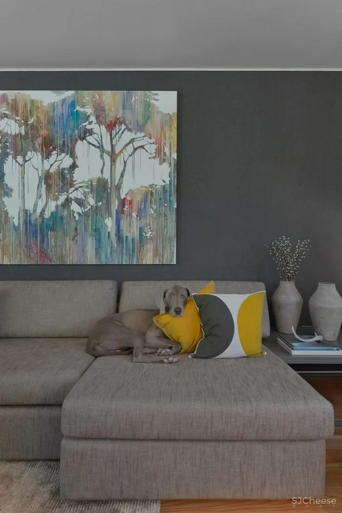 Juno House / Mónica Parreira