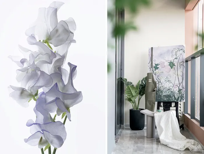 柯翊 \ 大朴:祥源悦江南 · 以花之名,诠释家的温度!