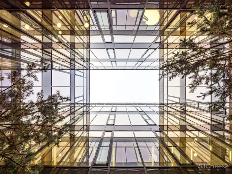 19米云杉树‘表皮’，Ziegler木材总部 Brückner - Brückner Architekten