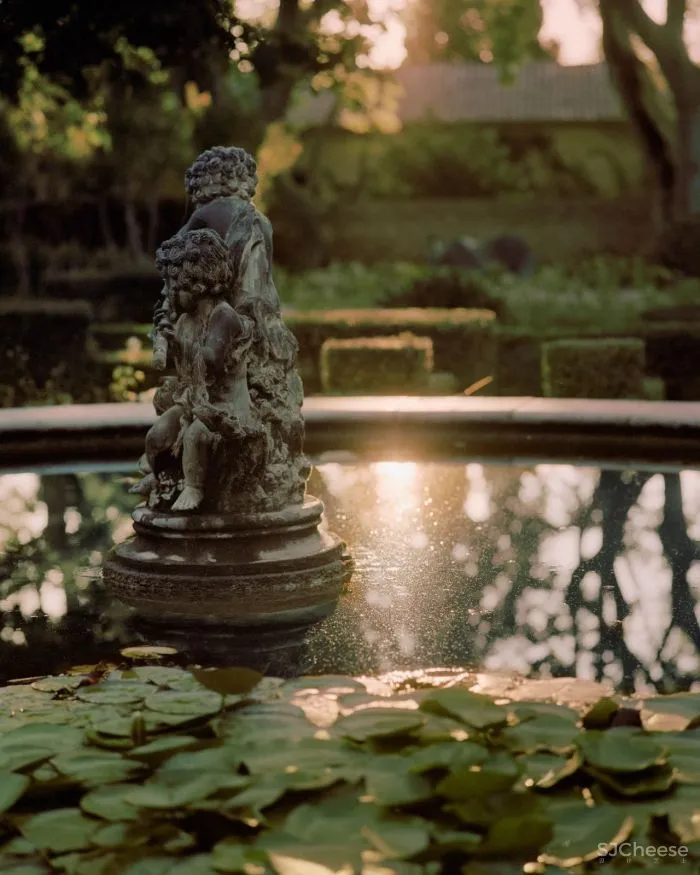 普罗旺斯百年建筑改造的精品酒店,建筑的时间感比薰衣草更迷人!