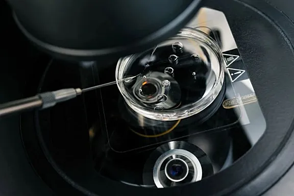 木质 肌理漆，描绘生活与办公的本真 观致设计