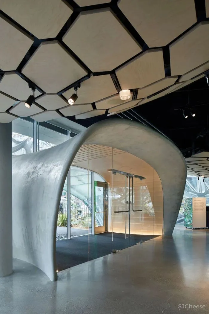 自然与建筑：球体的故事