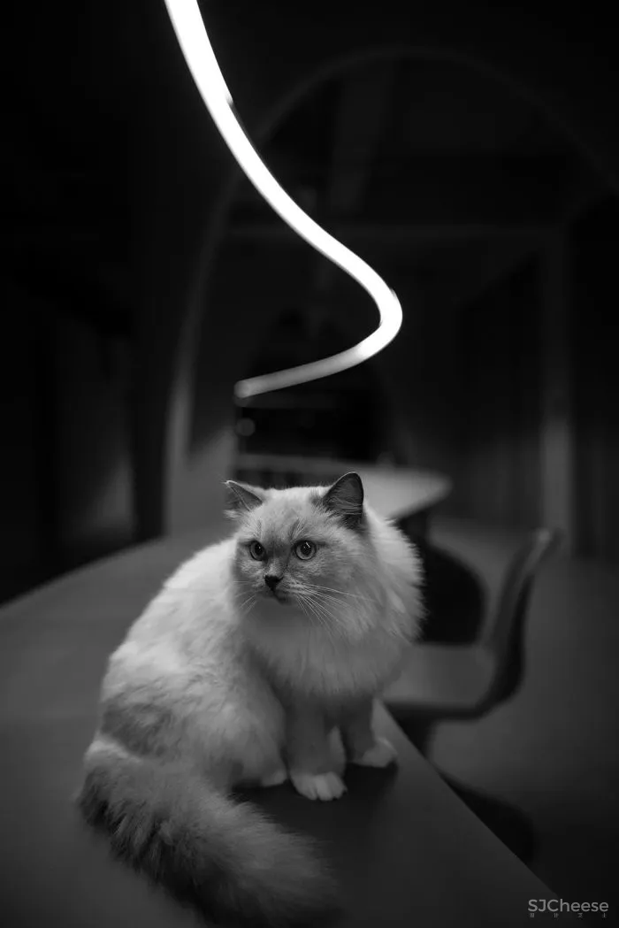 陈林平 万物归零,永恒之境