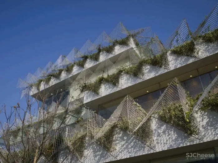 隈研吾新作又把木头玩出新花样!这是要集齐建筑材料的一百种玩法?