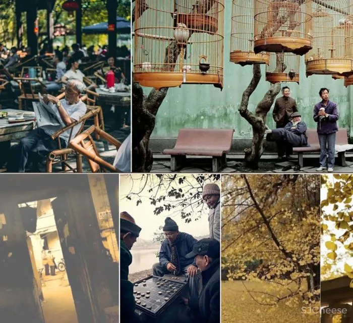 千墨设计 银杏树下朴实无华的平静