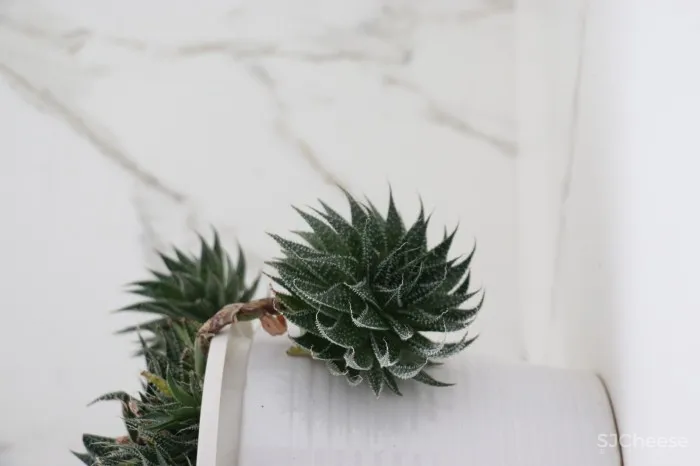 杭州·玉皇山庄吴宅