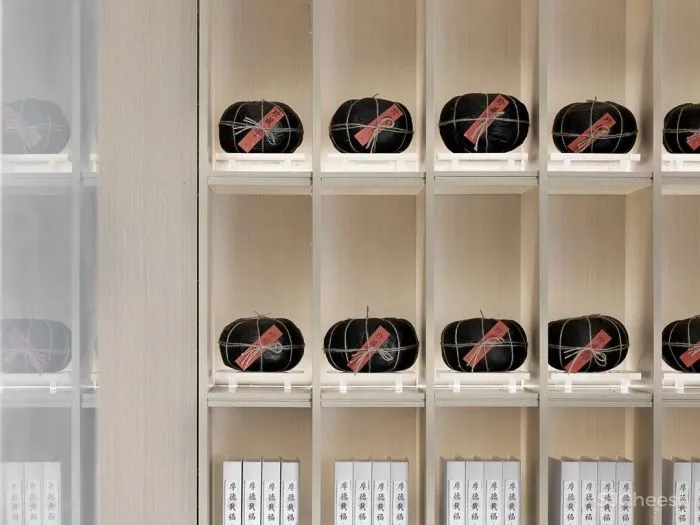 千墨设计 银杏树下朴实无华的平静