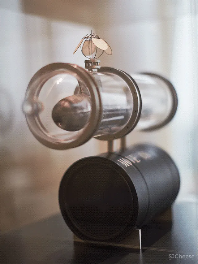 飞行的姿态,1895时光城市展厅 共生形态