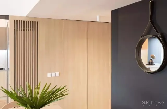 120㎡罗马尼亚时尚公寓设计