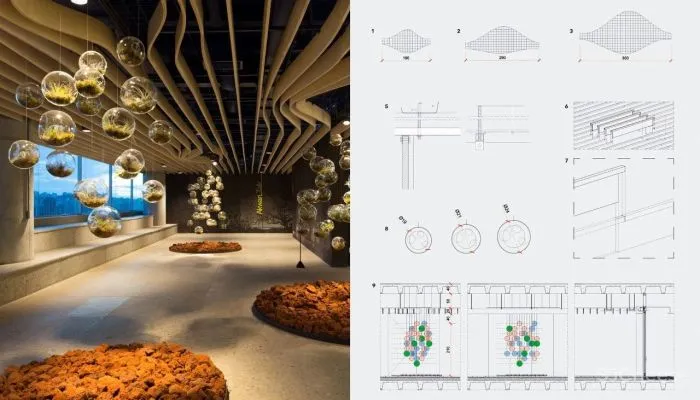 自然与建筑：球体的故事