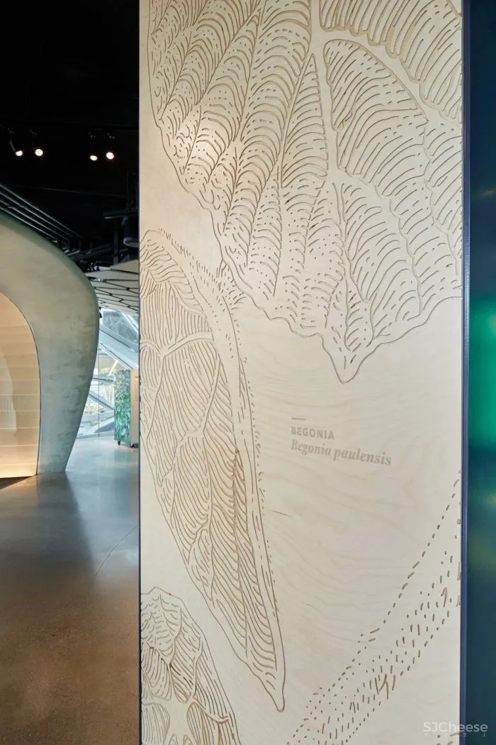 自然与建筑：球体的故事