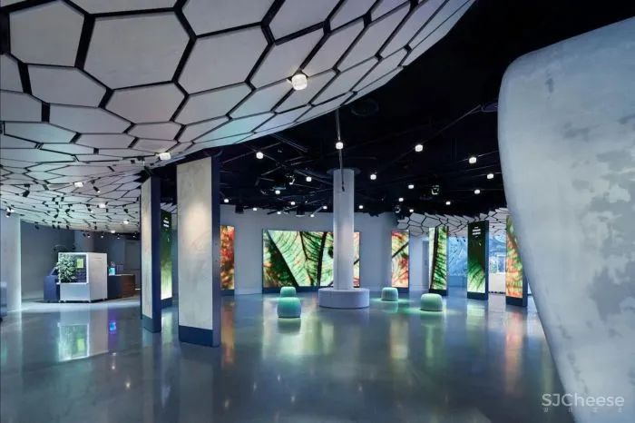 自然与建筑：球体的故事