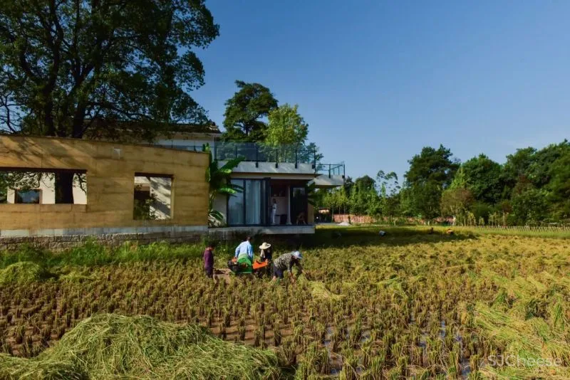 稻田里的家 园中有屋,屋中有院