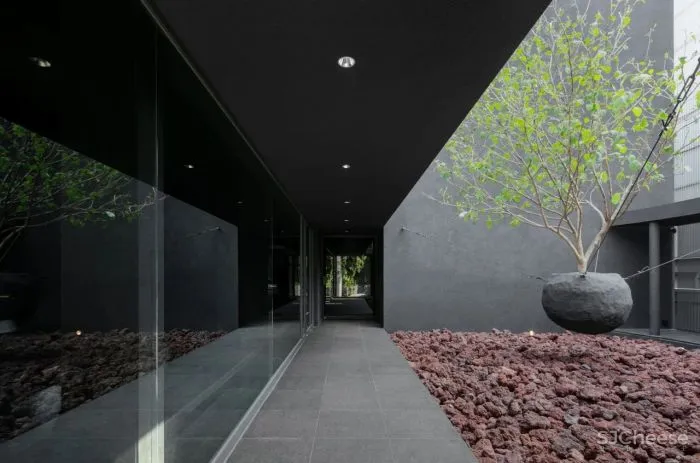 WGNB 韩国简约设计