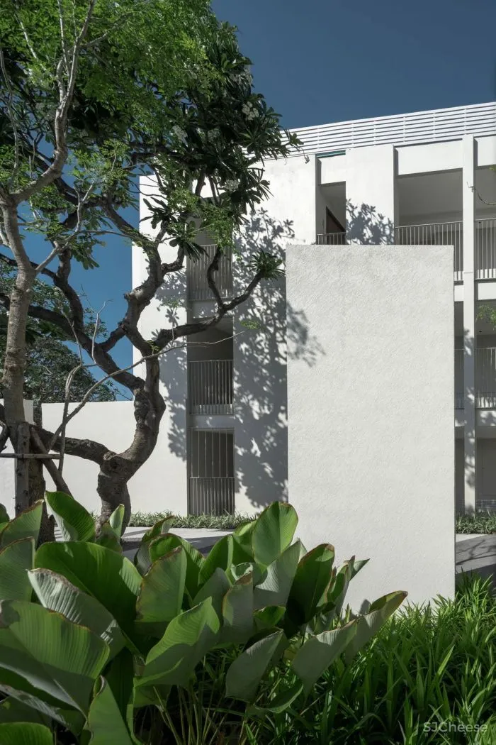 泰国又出极致度假酒店:面朝大海,融于自然!