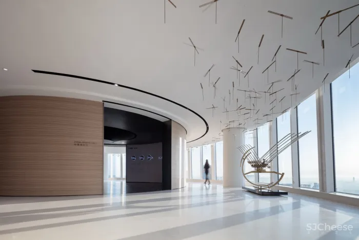 飞行的姿态,1895时光城市展厅 共生形态