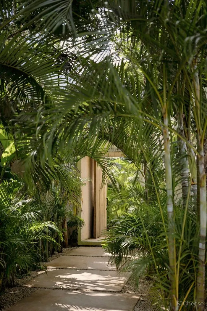 极简避世豪宅,养老的完美之选!