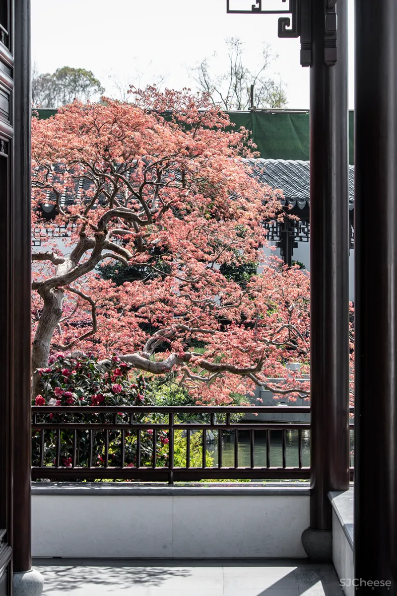 谢天 • 玫瑰园|素处以默,妙机其微—空间的非炫耀性设计