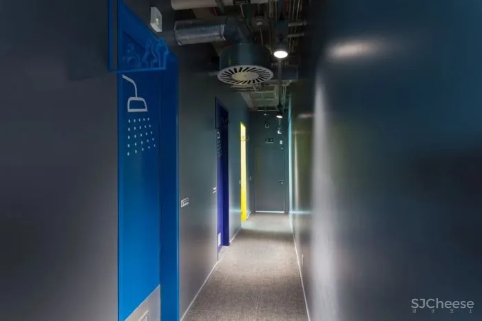 自然与建筑：球体的故事