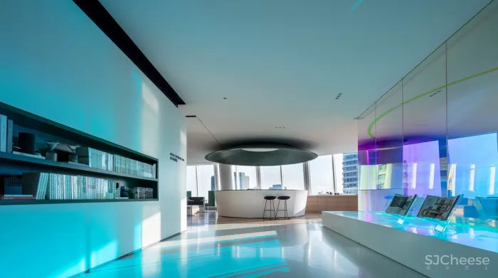 飞行的姿态,1895时光城市展厅 共生形态