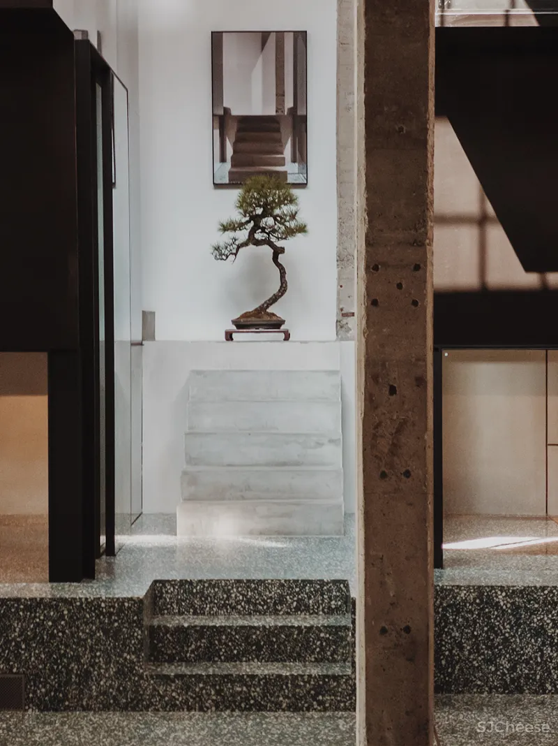 LJ 探店｜廷泰茶空间｜一个懂茶爱茶之人，斥资千万打造而来