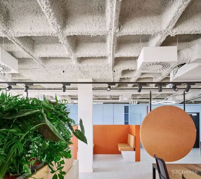 办公区的色彩艺术