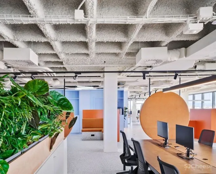 办公区的色彩艺术