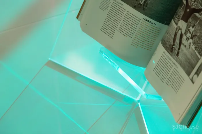 飞行的姿态,1895时光城市展厅 共生形态