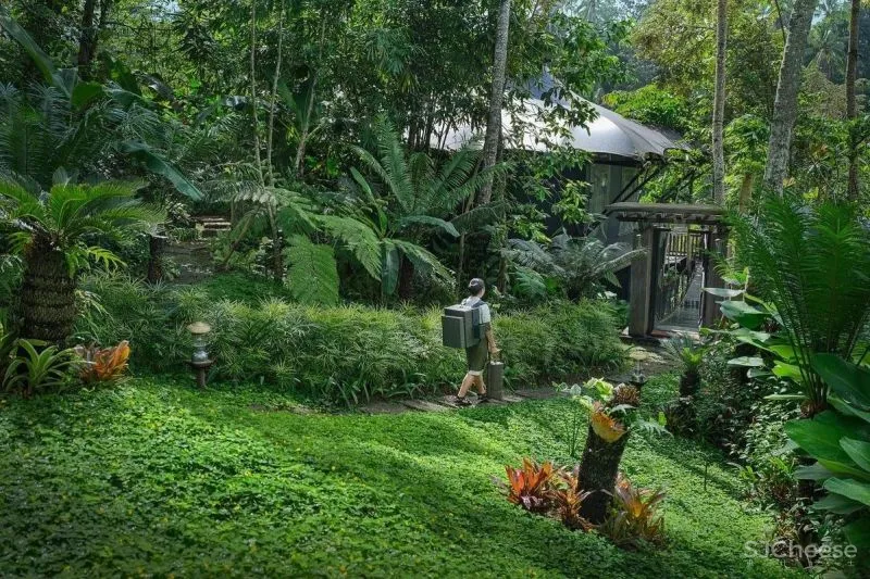 嘉佩乐Capella酒店:“ 城市度假”的理想模样