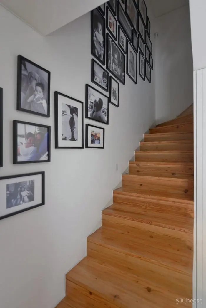 Juno House / Mónica Parreira