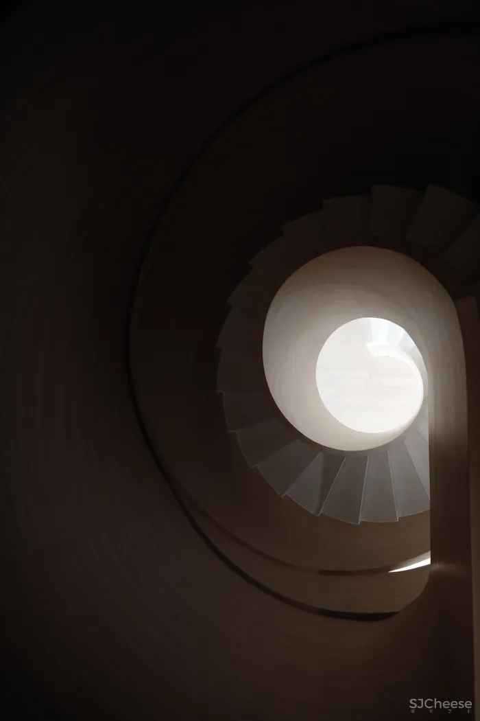 飞行的姿态,1895时光城市展厅 共生形态